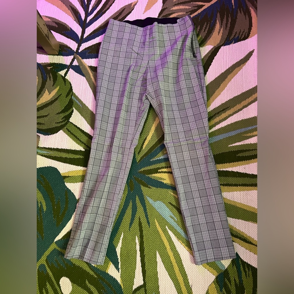 Dress pants